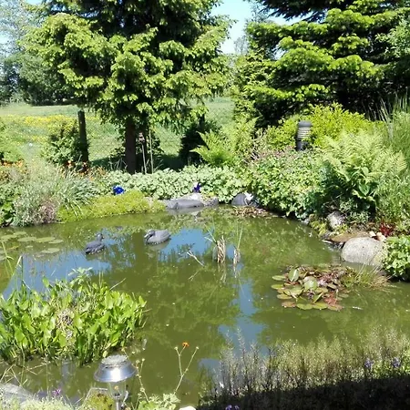 Ferienhäusle Ferienhaus